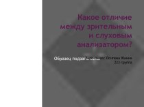 Какое отличие между зрительным и слуховым анализатором?