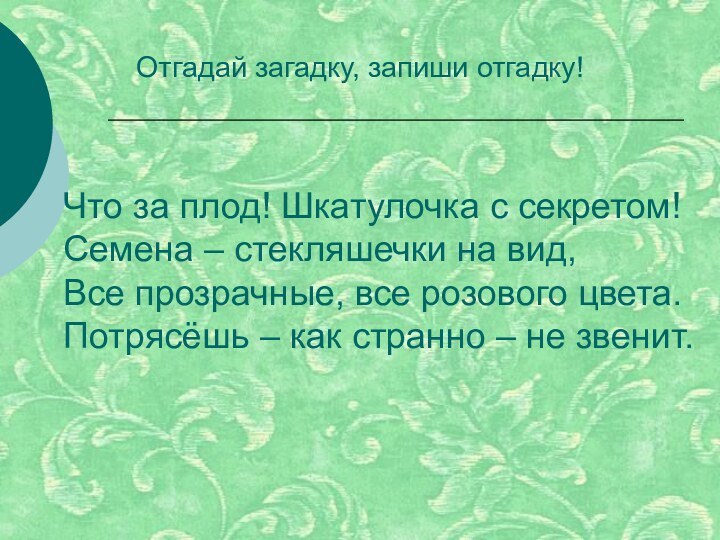 Что за плод! Шкатулочка с секретом!Семена – стекляшечки на вид,Все прозрачные, все