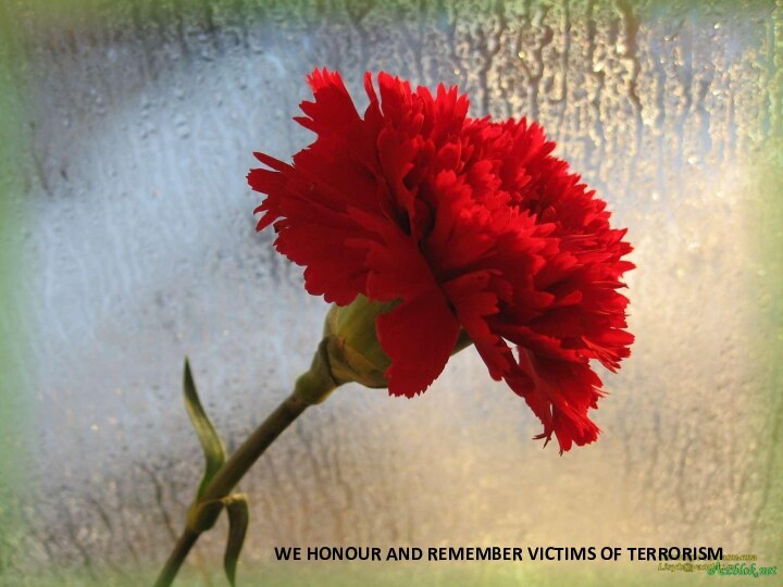 WE HONOUR AND REMEMBER VICTIMS OF TERRORISM