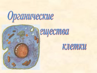 Органические вещества клетки