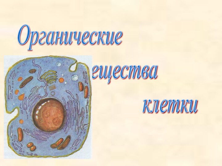 Органические        вещества