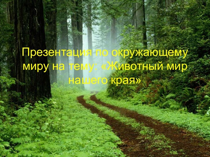 Презентация по окружающему миру на тему: «Животный мир нашего края»