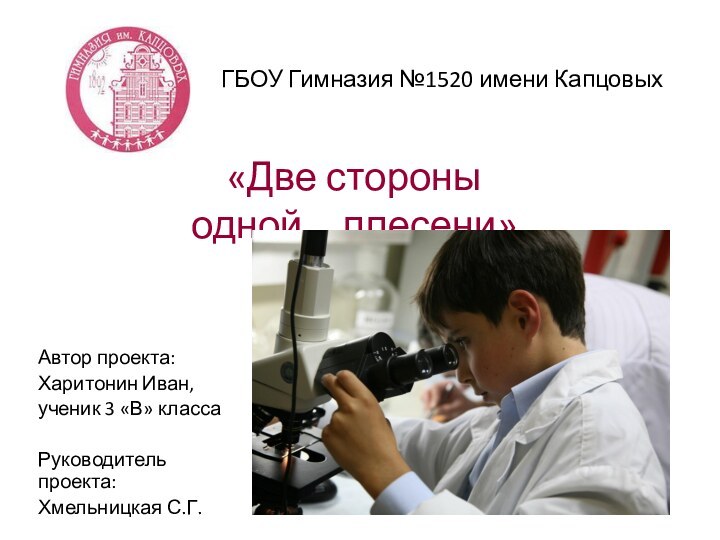 «Две стороны одной…плесени»ГБОУ Гимназия №1520 имени Капцовых Автор проекта:Харитонин Иван,ученик 3 «В» классаРуководитель проекта: Хмельницкая С.Г.