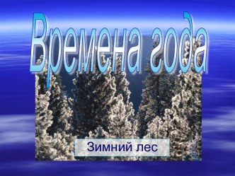 Времена года. Зимний лес