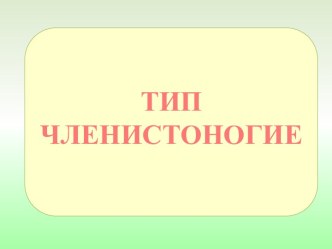 ТИП ЧЛЕНИСТОНОГИЕ