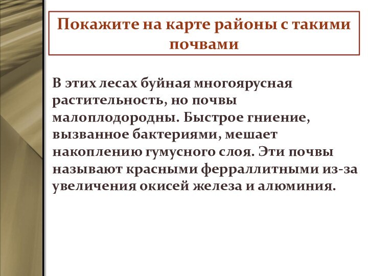 В этих лесах буйная многоярусная растительность, но почвы малоплодородны. Быстрое гниение, вызванное