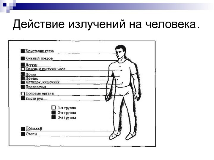 Действие излучений на человека.