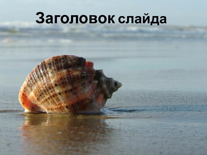 Заголовок слайда