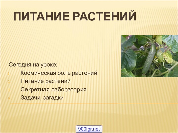 ПИТАНИЕ РАСТЕНИЙСегодня на уроке:Космическая роль растенийПитание растенийСекретная лабораторияЗадачи, загадки