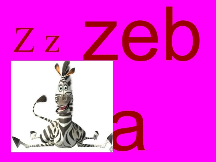 Z zzebra