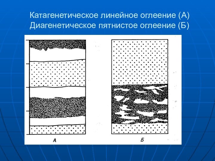 Катагенетическое линейное оглеение (А) Диагенетическое пятнистое оглеение (Б)