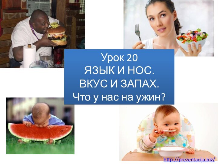 Урок 20 ЯЗЫК И НОС. ВКУС И ЗАПАХ. Что у нас на ужин?http://prezentacija.biz/