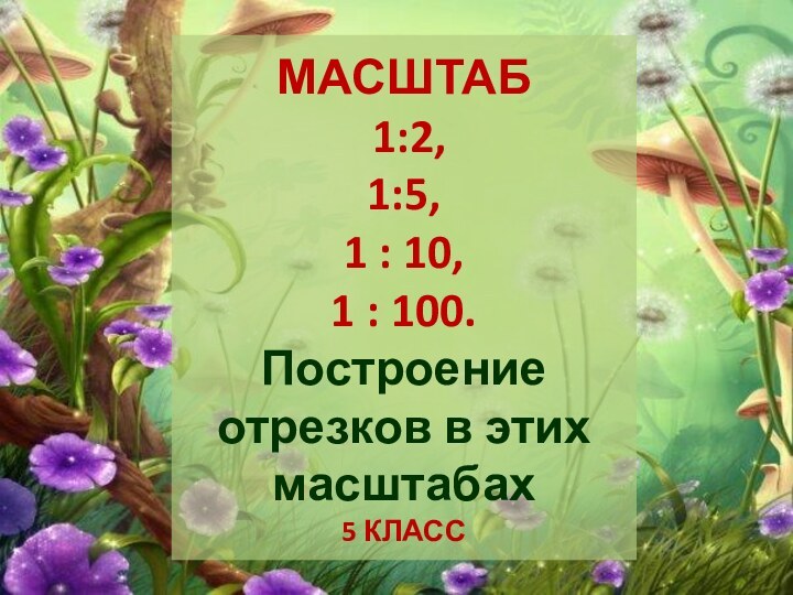 МАСШТАБ   1:2,  1:5,  1 : 10,  1