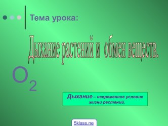 Дыхание растений 6 класс