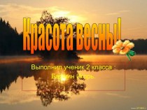 Красота весны!