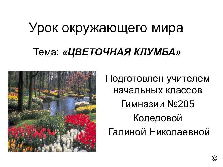 Урок окружающего мира Тема: «ЦВЕТОЧНАЯ КЛУМБА»Подготовлен учителем начальных классовГимназии №205Коледовой Галиной Николаевной©