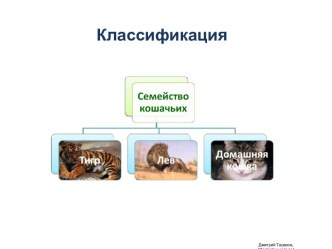 Классификация понятий