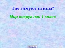 Окружающий мир Птицы