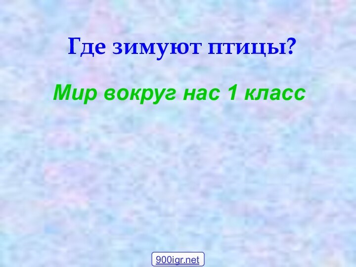 Где зимуют птицы?Мир вокруг нас 1 класс