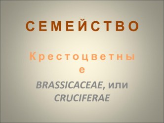 Семейство Крестоцветные