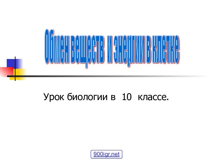 Урок биологии в 10 классе.Обмен веществ и энергии в клетке