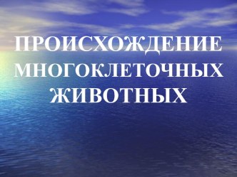 Происхождение многоклеточных животных