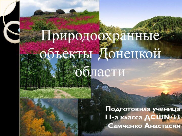 Природоохранные объекты Донецкой областиПодготовила ученица 11-а класса ДСШ№33Самченко Анастасия