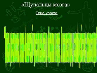 Органы равновесия, кожно-мышечной чувствительности, обоняния и вкуса. Их анализаторы, взаимодействие анализаторов