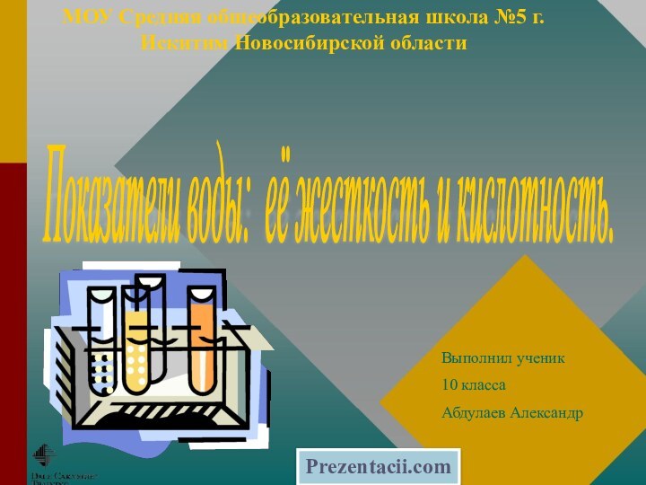 МОУ Средняя общеобразовательная школа №5 г. Искитим Новосибирской областиВыполнил ученик 10 класса