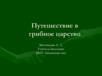 Путешествие в грибное царство