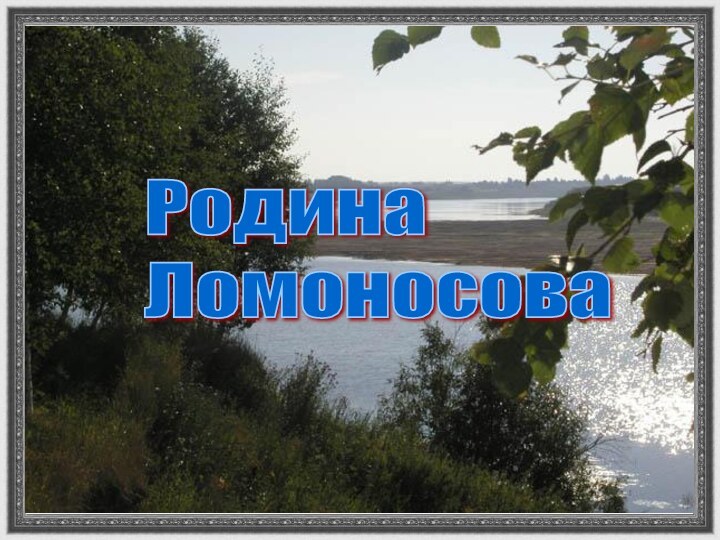 Родина  Ломоносова