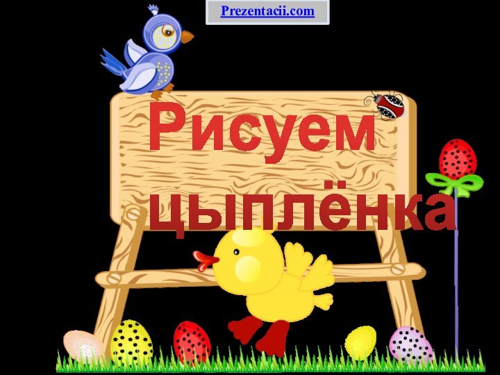 Рисуем   цыплёнкаPrezentacii.com