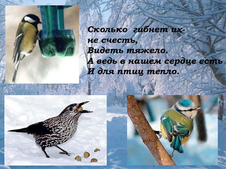 Сколько гибнет их-не счесть,Видеть тяжело.А ведь в нашем сердце естьИ для птиц тепло.