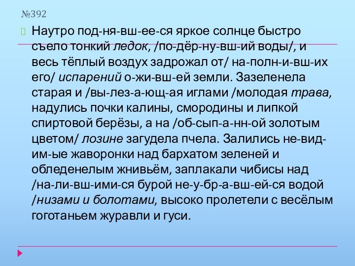 №392Наутро под-ня-вш-ее-ся яркое солнце быстро съело тонкий ледок, /по-дёр-ну-вш-ий воды/, и весь