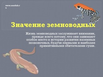 Значение земноводных