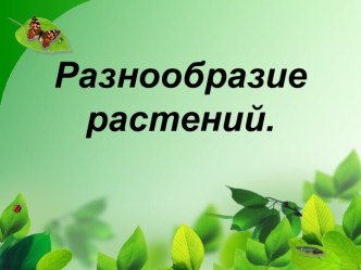 Разнообразие растений 3 класс