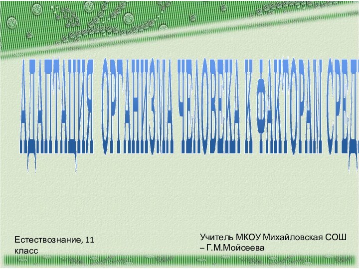 АДАПТАЦИЯ ОРГАНИЗМА ЧЕЛОВЕКА К ФАКТОРАМ СРЕДЫ.Естествознание, 11 классУчитель МКОУ Михайловская СОШ – Г.М.Мойсеева