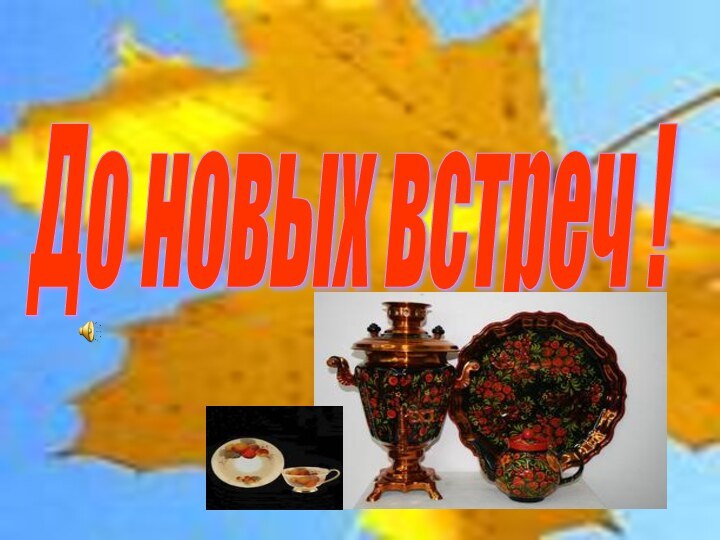 До новых встреч !