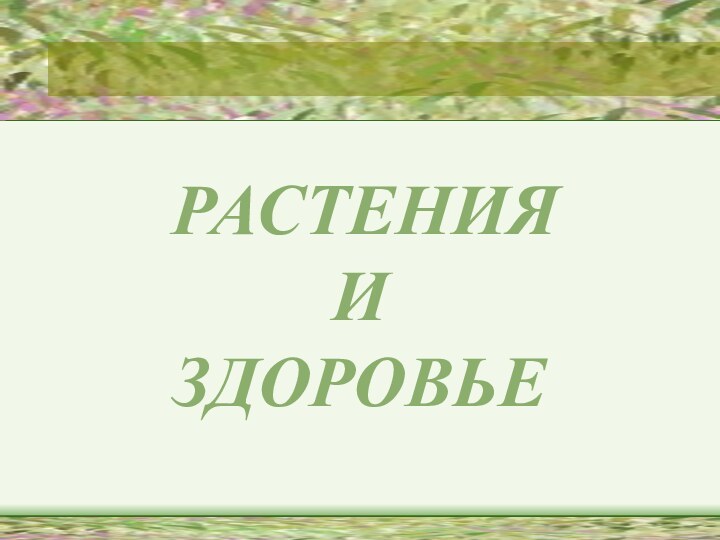 РАСТЕНИЯ  И  ЗДОРОВЬЕ