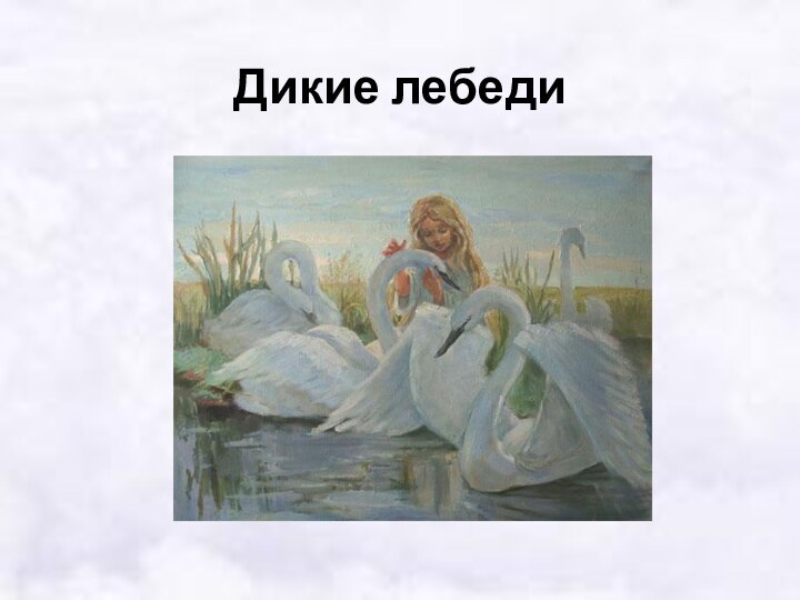 Дикие лебеди