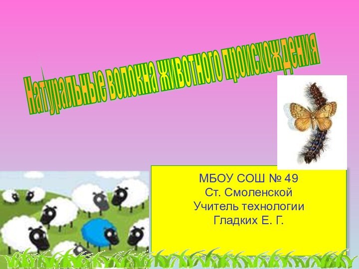 МБОУ СОШ № 49Ст. СмоленскойУчитель технологииГладких Е. Г.Натуральные волокна животного происхождения