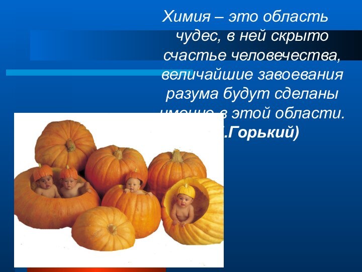 Химия – это область чудес, в ней скрыто счастье человечества, величайшие завоевания