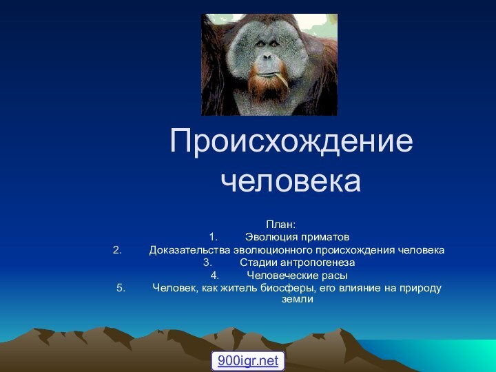 Происхождение человека План:Эволюция приматовДоказательства эволюционного происхождения человекаСтадии антропогенезаЧеловеческие расыЧеловек,