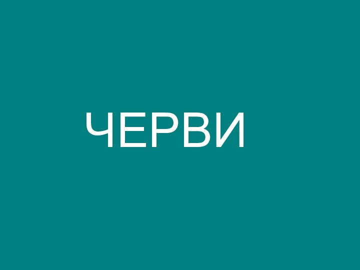 ЧЕРВИ