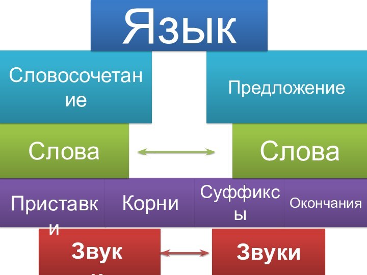 ЗвукиЗвукиКорниСуффиксыОкончанияПриставкиСловаСловаСловосочетаниеПредложениеЯзык