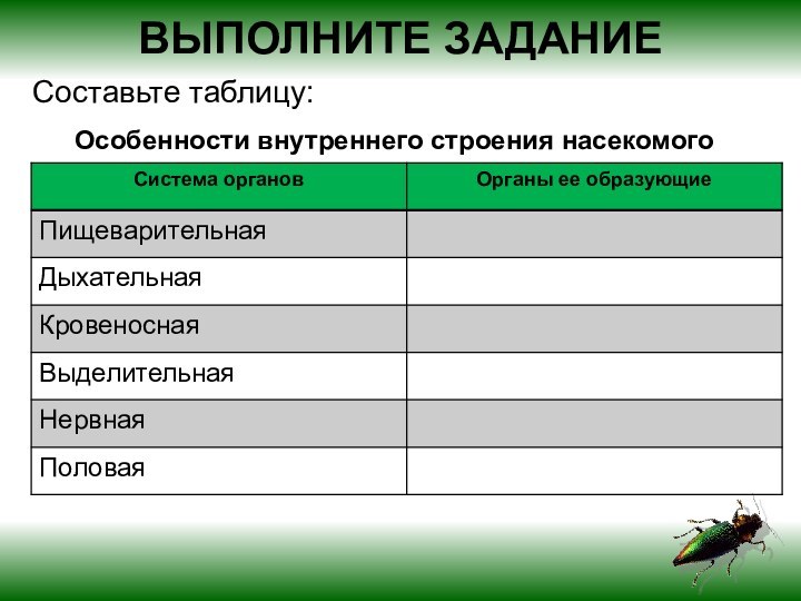 Особенности внутреннего строения насекомогоВЫПОЛНИТЕ ЗАДАНИЕСоставьте таблицу: