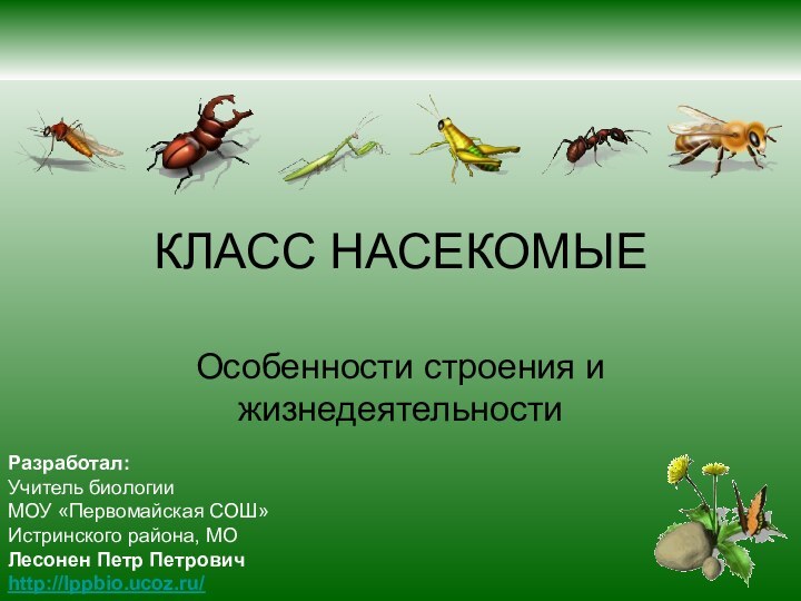 КЛАСС НАСЕКОМЫЕОсобенности строения и жизнедеятельностиРазработал:Учитель биологии МОУ «Первомайская СОШ»Истринского района, МОЛесонен Петр Петровичhttp://lppbio.ucoz.ru/