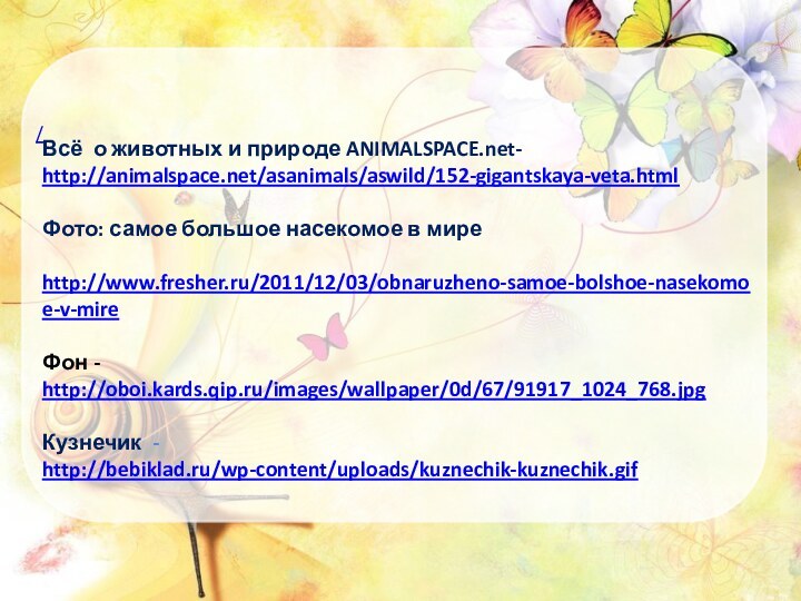 /Всё о животных и природе ANIMALSPACE.net- http://animalspace.net/asanimals/aswild/152-gigantskaya-veta.htmlФото: самое большое насекомое в мире