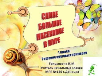 Самое большое насекомое в мире