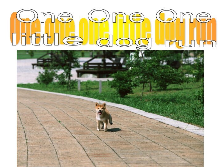 One one one little dog run One One One little dog run